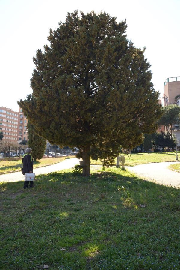 Brezza Marina Apartment Roma Exterior foto